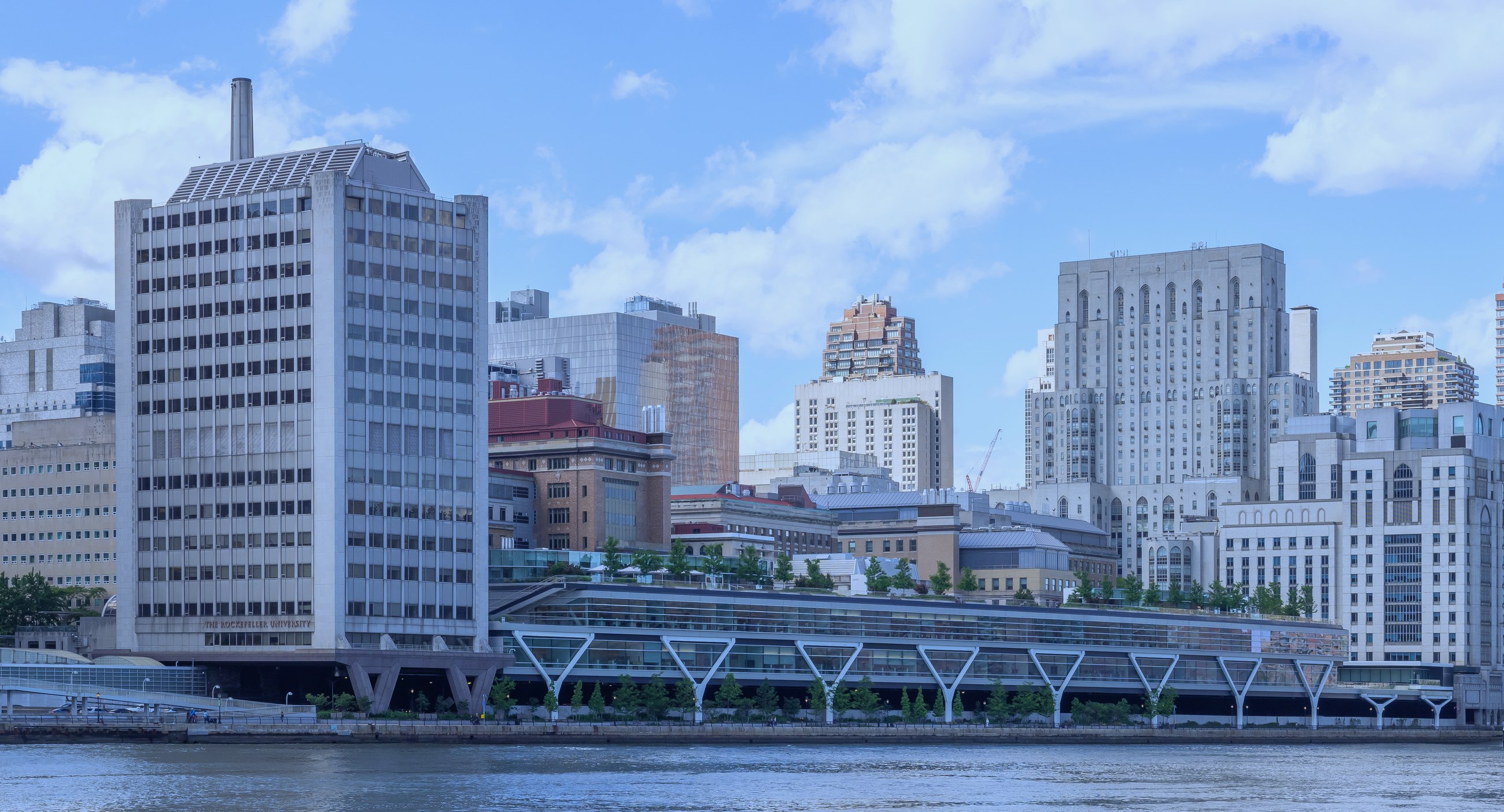The Rockefeller University campus seen from across the East River